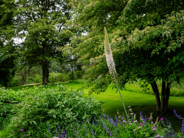 Träumen Sie noch vom Grün oder planen Sie schon? Die Gartentrends für 2026